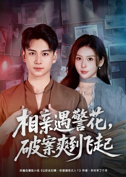相亲遇警花，破案爽到飞起（80集）夏梦＆范高坡 高清完整版